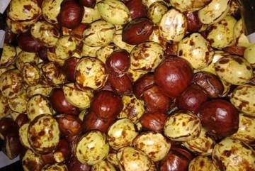 Jengkol dan Petai, Lezat Bergizi Meski Beraroma Khas