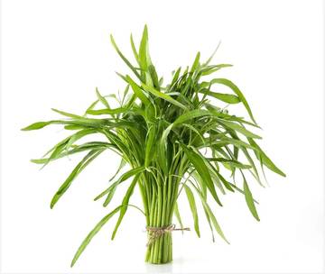Cara Sederhana Menumis Kangkung Supaya Tetap Segar