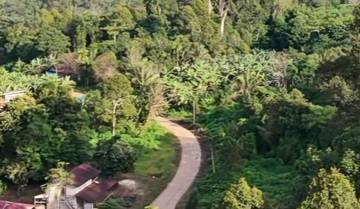 Jalan Semenisasi Permudah Pemasaran Durian Warga Intu Lingau
