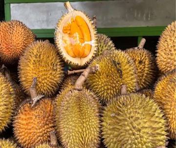 Mengenal Buah Lay dan Ragam Sebutannya