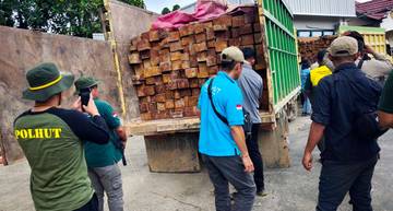 Kronologi Penangkapan Kayu Ilegal di Hutan Desa Besiq