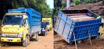 Sopir Truk Kayu Ilegal di Besiq Lolos Usai Kelabui Petugas