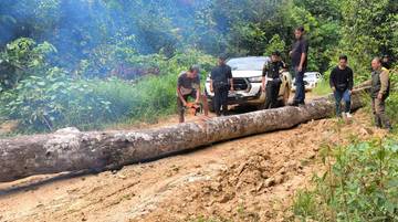 Pembalak Liar Blokade Jalan, Razia Gabungan di Hutan Besiq Terhenti