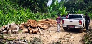 LPHD Besiq Pertanyakan Hilangnya Barang Bukti Kayu Ilegal