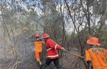 BPBD Kubar Catat Penurunan Karhutla di Tahun 2025