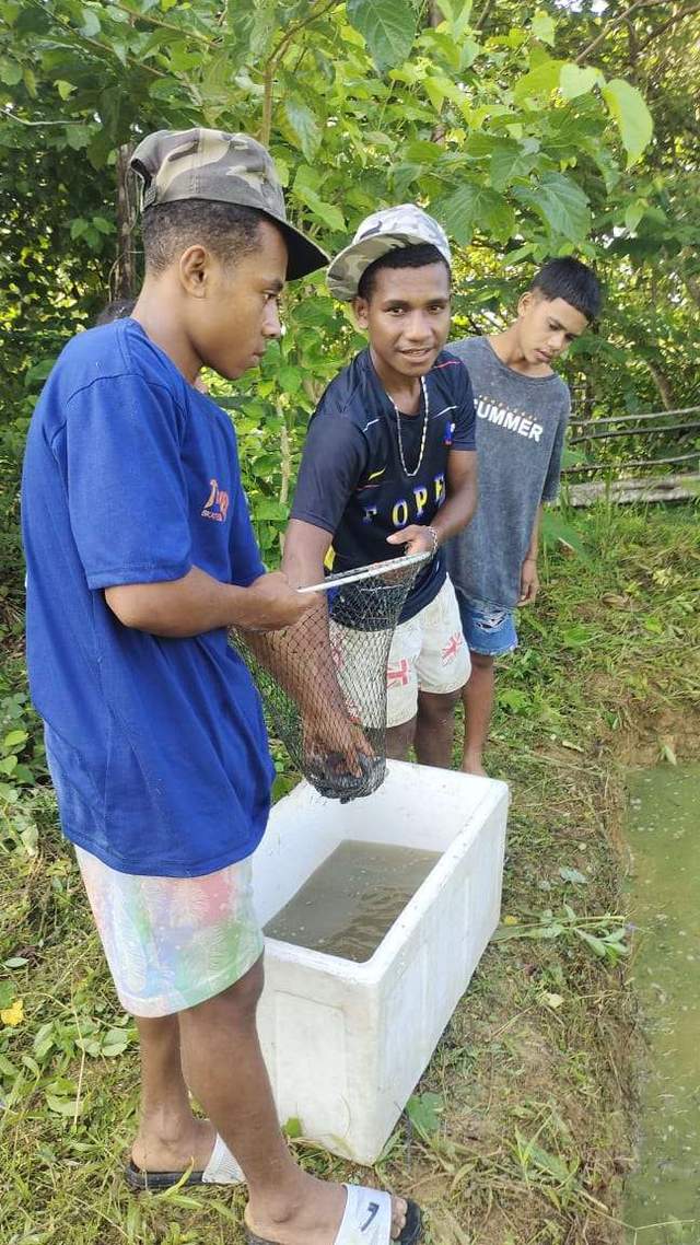 Jual Ikan Lele Beli Seragam Sekolah 