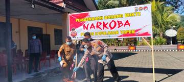 Polres Yapen Pemusnahan Barang Bukti Narkoba  Jenis Ganja  