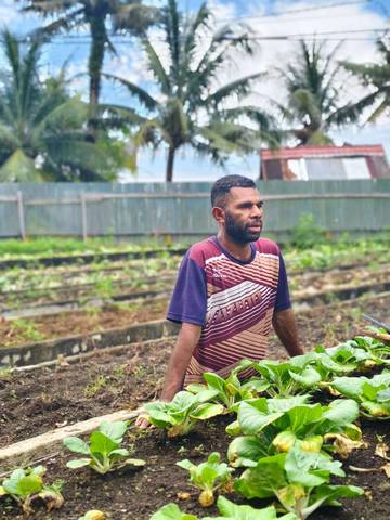 Program MBG Membantu Peningkatan Ekonomi Petani Sayur Yapen 