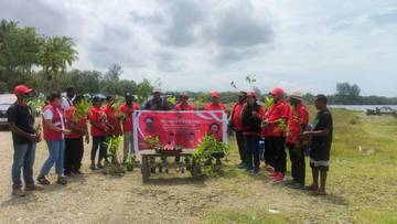 DPC PDIP Waropen Tanam Pohon Peringati HUT Megawati