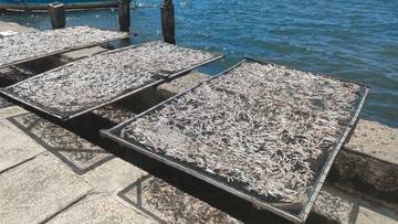 Pendapatan Penjualan Ikan Kering Beromzet Tinggi