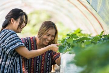 Mengenal Maksud Dari Istilah "Aura Farming"
