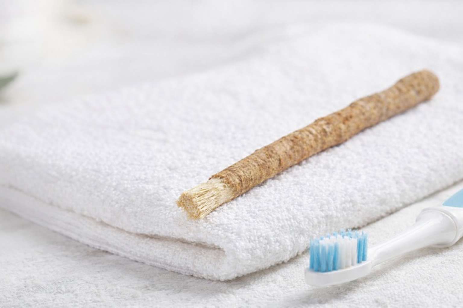 Siwak, Alternatif Alami Jaga Kesehatan Gigi