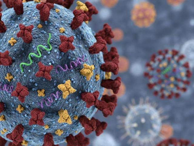 Kemenkes Catat Penurunan Kasus Influenza A H3N2