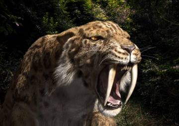 Mengenal Gigi Pedang: Predator Purba yang Ikonik