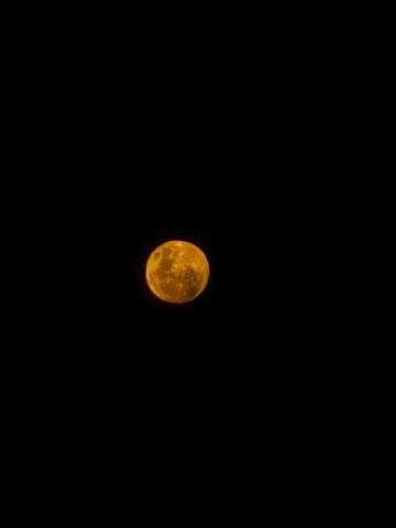 Memaknai Hari Purnama dan Fenomena “Blood Moon”
