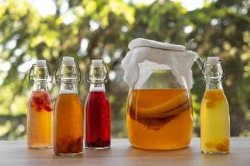 Kombucha, Minuman Fermentasi Kaya Manfaat