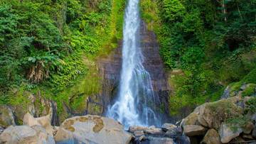 Air Terjun Gitgit: Keindahan Alam di Tengah Hutan
