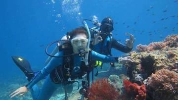 Pulau Menjangan, Surga Snorkeling Utara Bali Barat