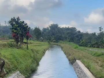 Bendungan Yeh Aya, Destinasi Wisata di Jatiluwih