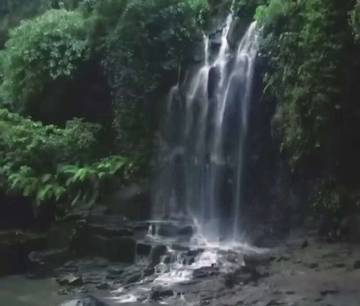 Tirai Air Alami Air Terjun Temesi Gianyar Bali