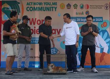 Jembrana Perkuat Sinergi Tekan Kasus Rabies