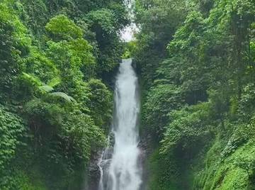 Air Terjun Gitgit Dukuh Buleleng Bali