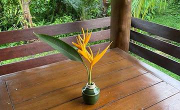 Merangkai Bunga ala Ikebana di Ruang Penuh Makna