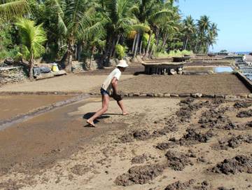 Sambut Nataru, Desa Les Siapkan Wisata Edukasi 