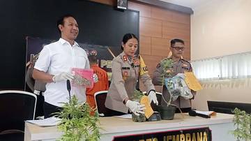 Polres Jembrana Ungkap Budidaya Ganja Rumahan
