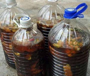 Eco Enzyme: Cairan Ajaib untuk Bumi Lebih Hijau