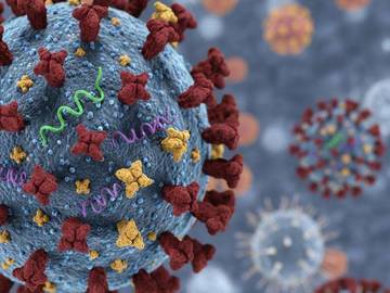 Kemenkes Catat Penurunan Kasus Influenza A H3N2