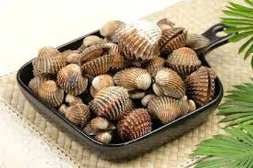 Kerang Dara, Seafood Klasik dengan Rasa Gurih Menggoda