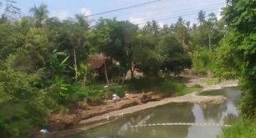  Langganan Banjir, Warga Pebuahan Minta Pendangkalan Sungai Tukadaya
