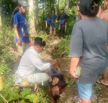 Pasutri di Jembrana Meninggal Diserang Tawon di Kebun