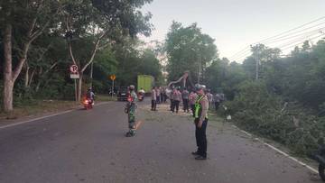 Pohon Tumbang di Cekik, Dua Pemotor Luka-Luka