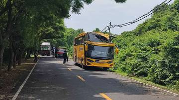 Hindari Pohon Tumbang, Bus Pariwisata Terperosok