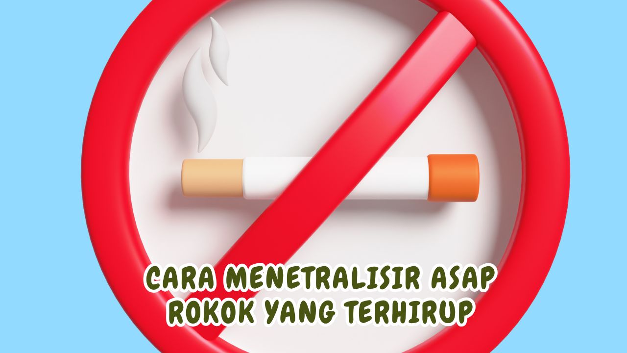 Cara Menetralisir Asap Rokok yang Terhirup - RRI.co.id