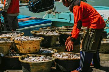 Digitalisasi UMKM Perlu Dorongan Serius