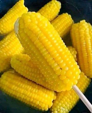 Keistimewaan Jagung Rebus