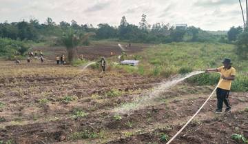 Personel Polres Melawi Lakukan Penyiraman Rutin Lahan Jagung