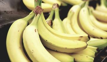 Ragam Jenis Pisang Nusantara