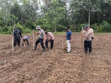 Polsek Kota Baru Tanam Kembali Jagung Hibrida