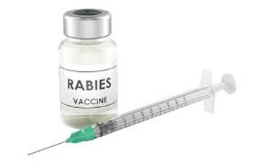 Sintang Kekurangan Vaksin Rabies