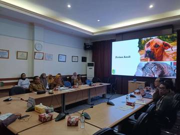 Pemkab Sintang Tetapkan KLB Rabies 