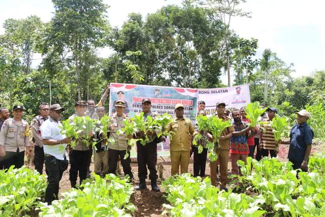 Dukung Ketahanan Pangan, Polres SorSel Panen Tanaman Hortikultura