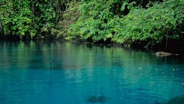 Lima Sungai Paling Ikonik di Kabupaten Sorong Selatan