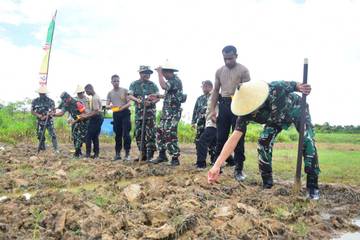 Penanaman Jagung Serentak 1 Juta Hektar