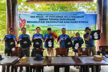 Lindungi Satwa Endemik Kalimantan, Pertamina Hulu Mahakam Dukung Rehabilitasi Orangutan dan Habitatnya