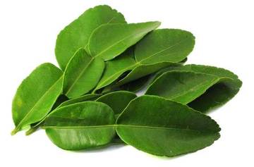 Mengenal Jenis Daun Jeruk,Rahasia Aroma Masakan Nusantara