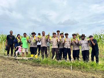 Polres Sorong Selatan Panen Raya Jagung Serentak